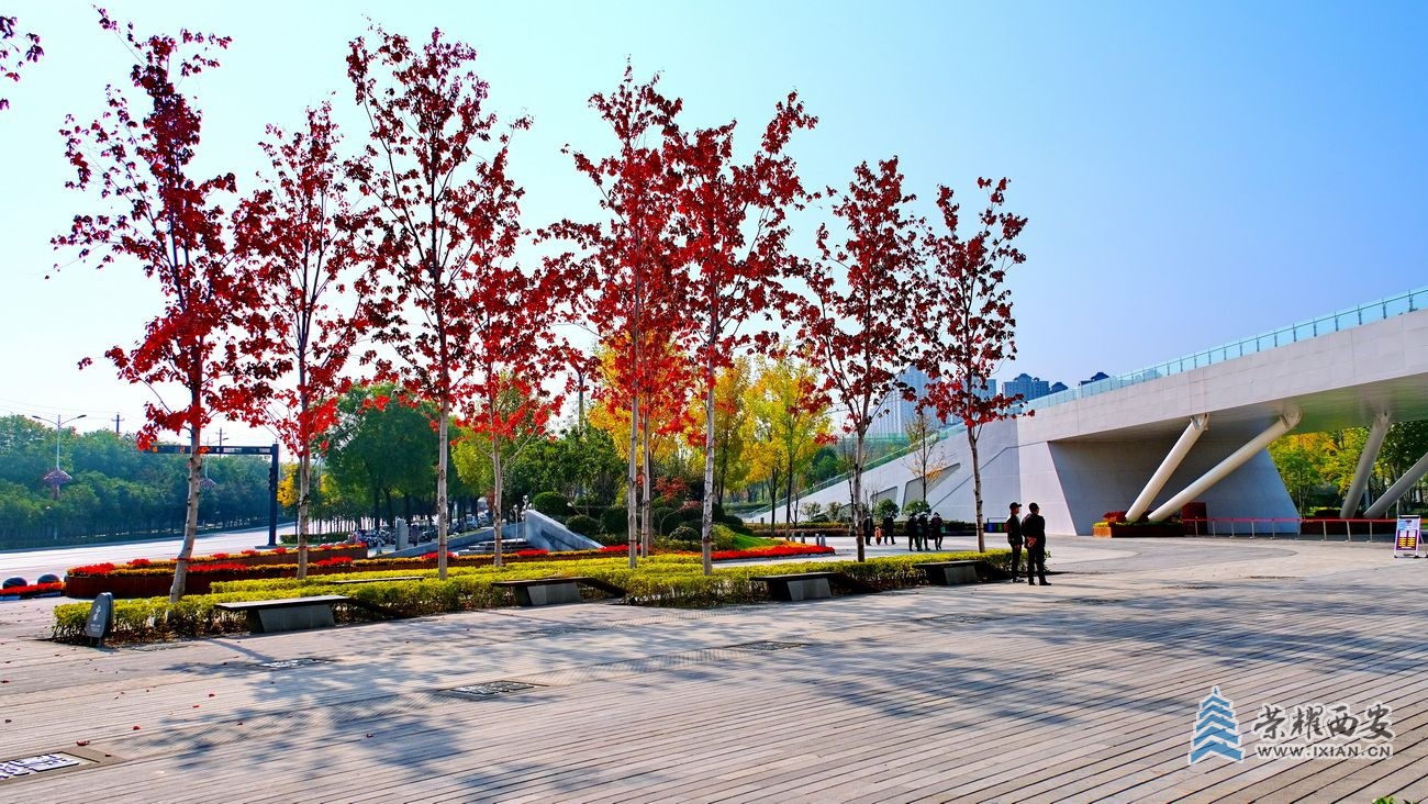 -长安公园 严建设049 .JPG