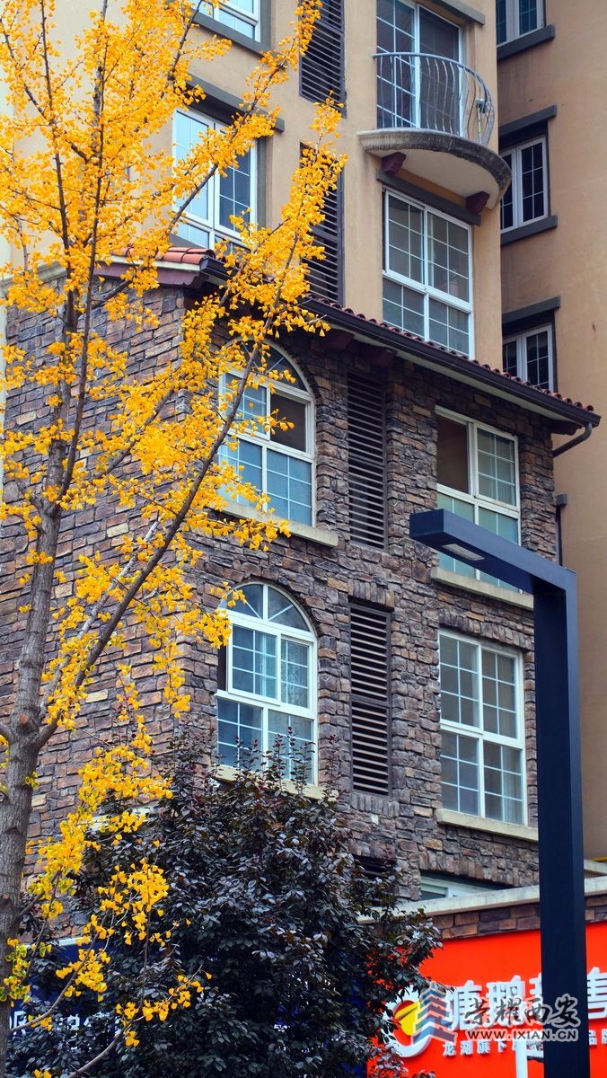 -西安 严建设0032.JPG