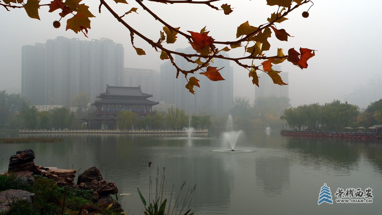-兴庆公园 严建设7.JPG