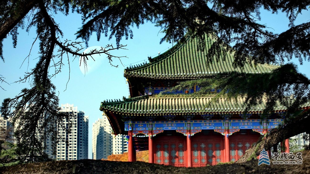 -兴庆公园 严建设20.JPG