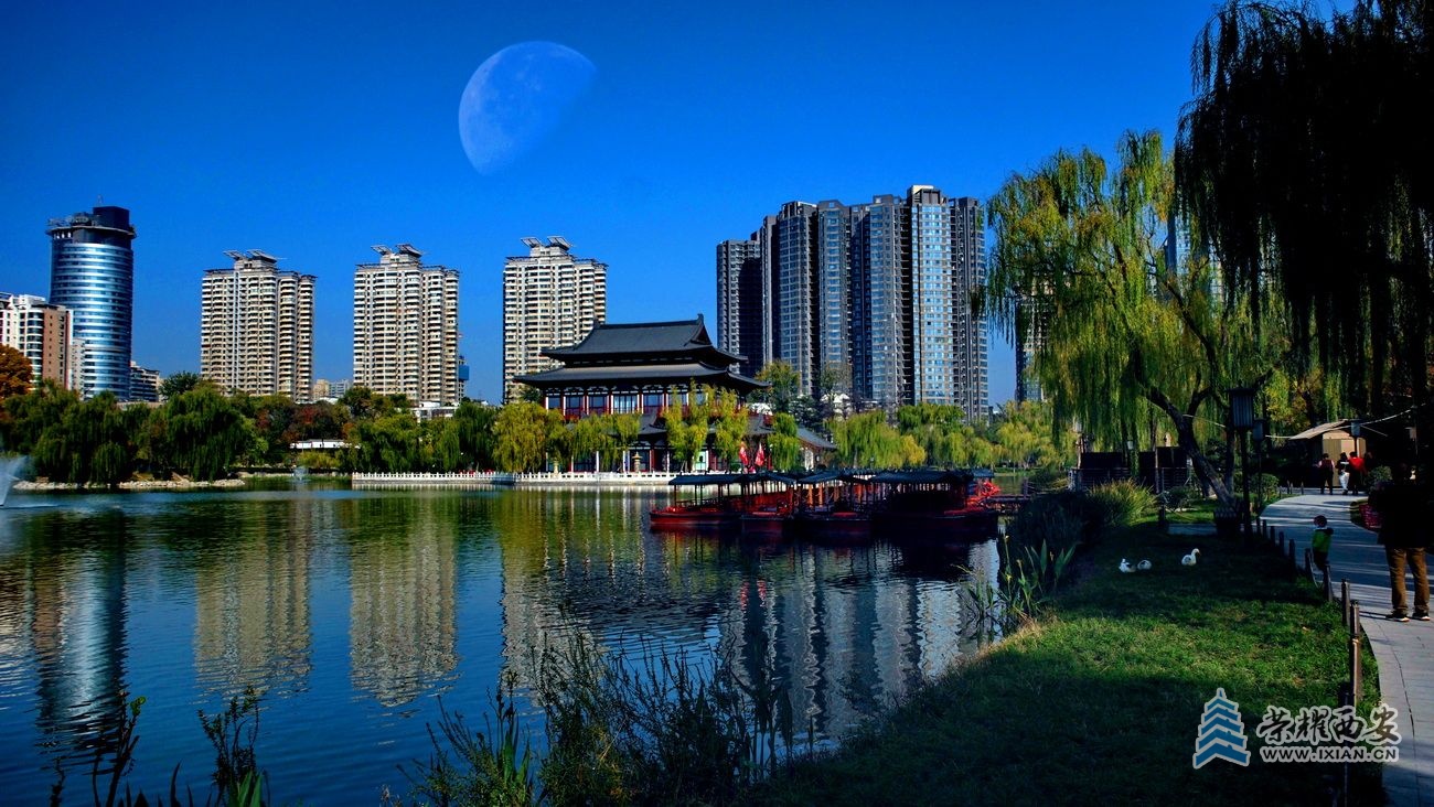 -兴庆公园 严建设24.JPG