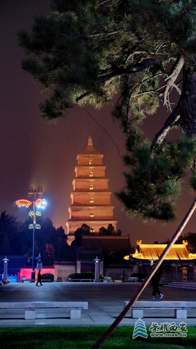 -大唐不夜城 严建设49.JPG