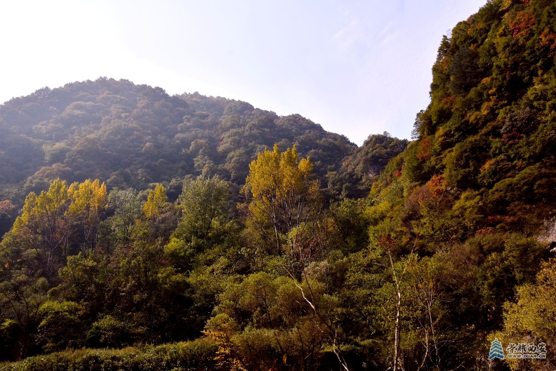 DSC_6300_副本.jpg