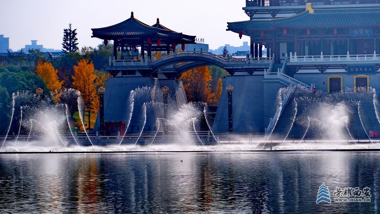 -大唐芙蓉园 严建设36.JPG