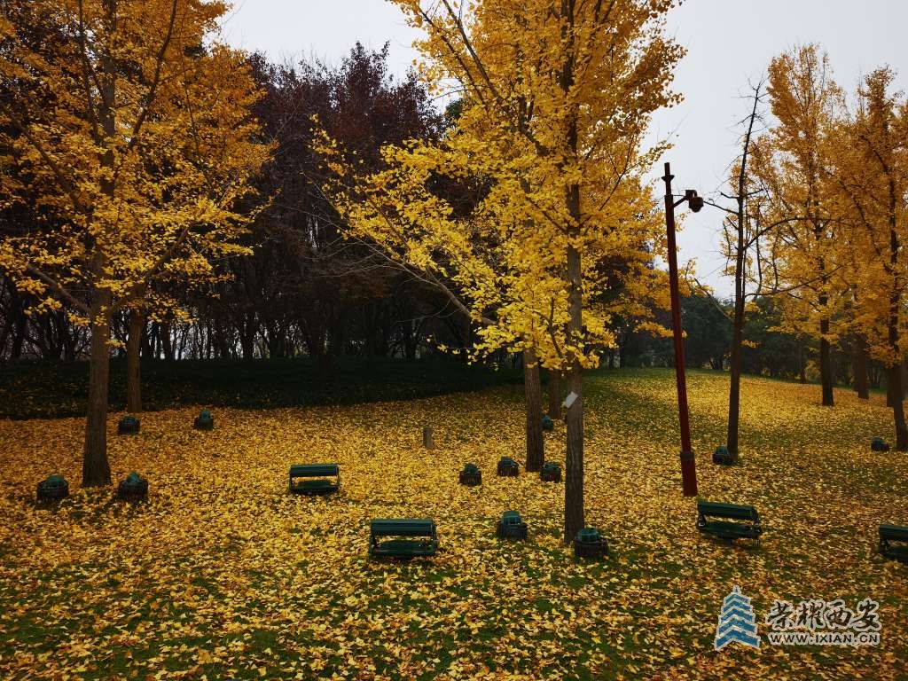 20221124160833front2_0_641138_FsSkjloi8NEAqTvMJ365DsfBXcui.jpg