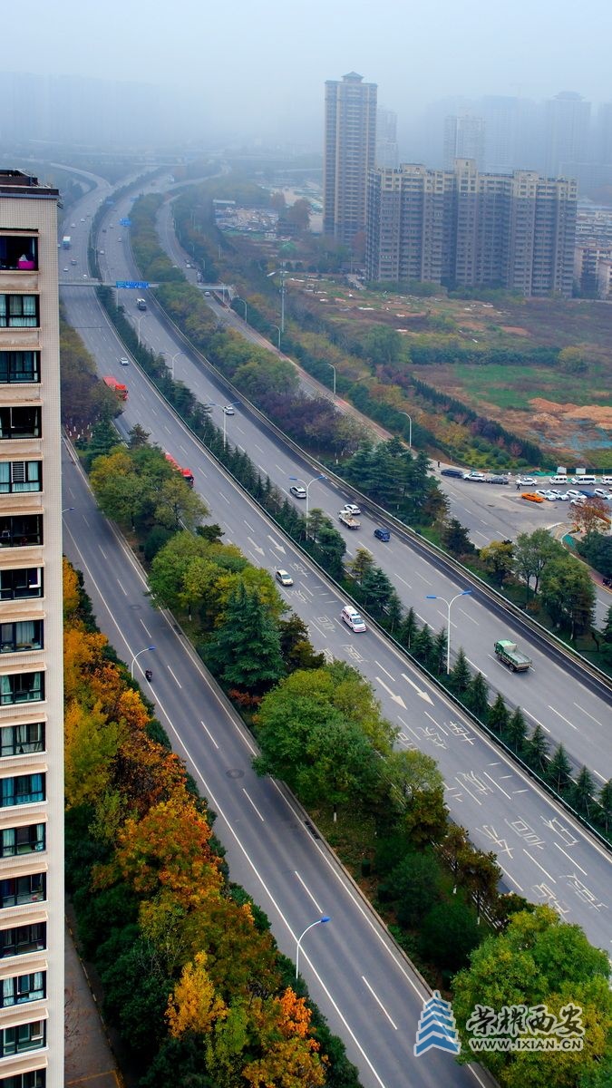 西安 严建设11.JPG