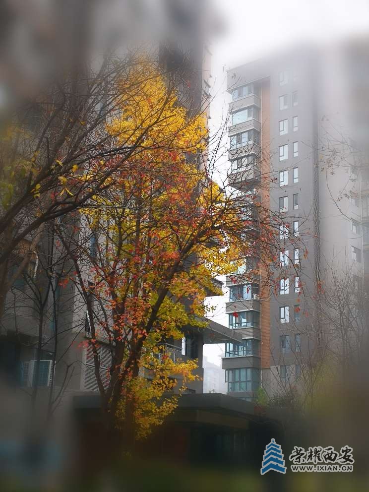 20221127102746front2_0_641246_FgUhvkhExgzOb2FpzTj8nDc3kL-A.jpg