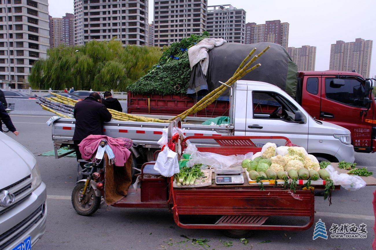 菜篮子 严建设29.JPG