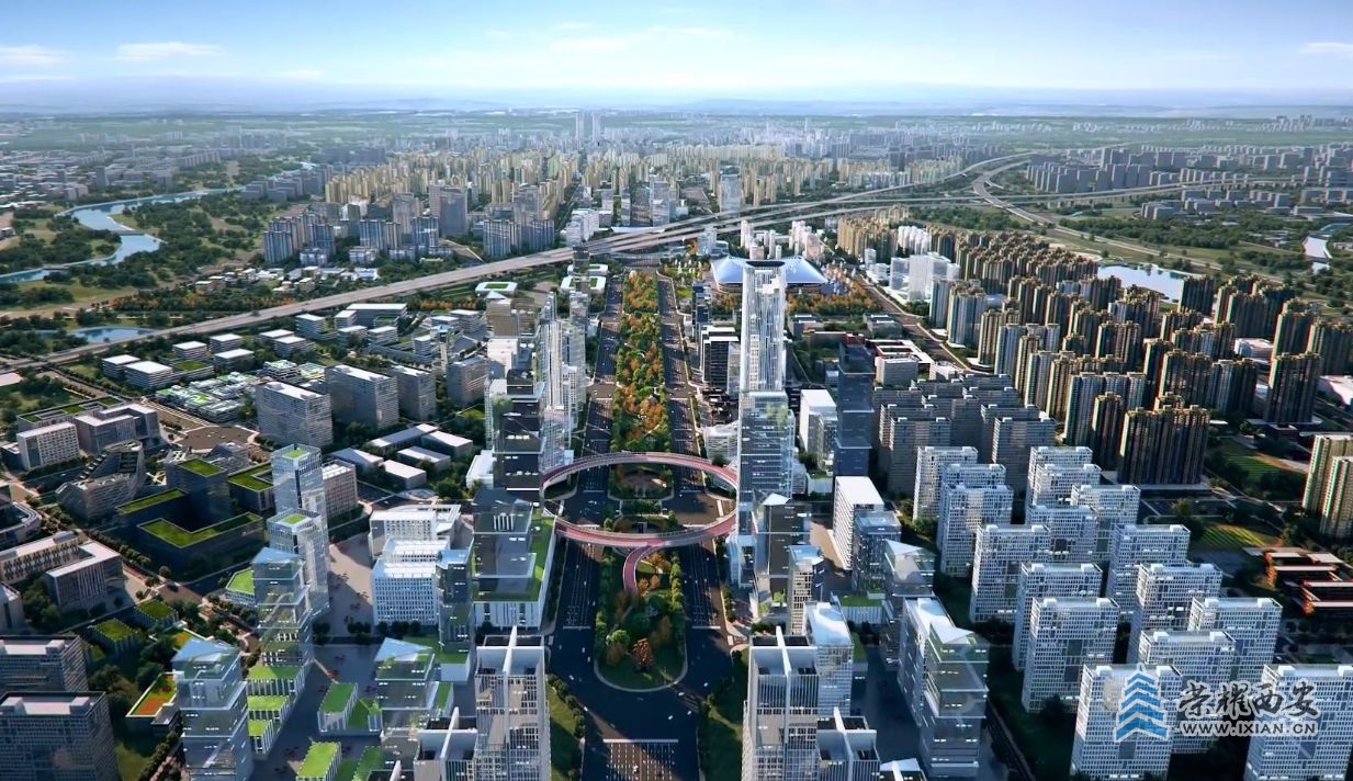图片5.JPG
