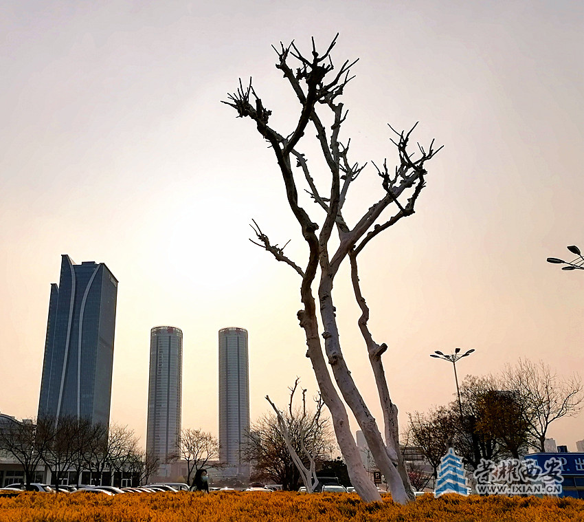 364d359ddc346399c622bb6e823edf6_副本.jpg