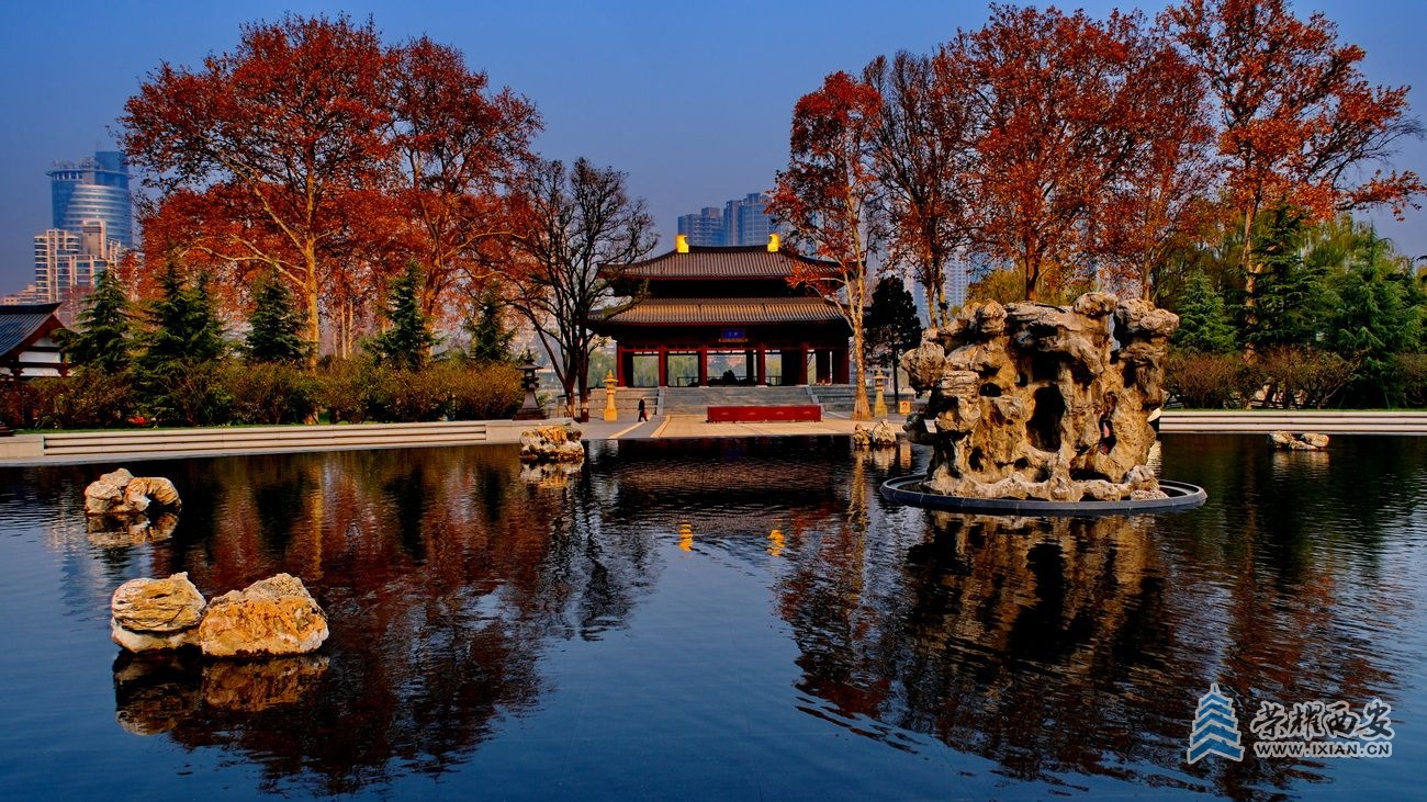 -兴庆公园03.JPG