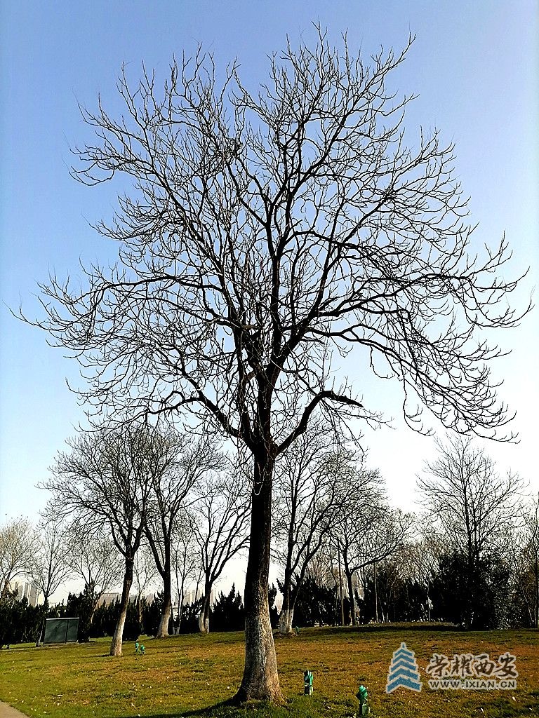69a509abb9be97508**922212cefdc_副本.jpg