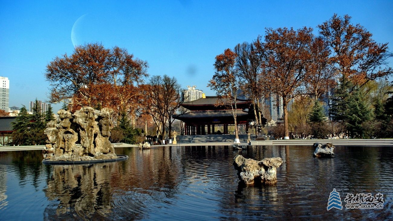 兴庆公园F1.JPG