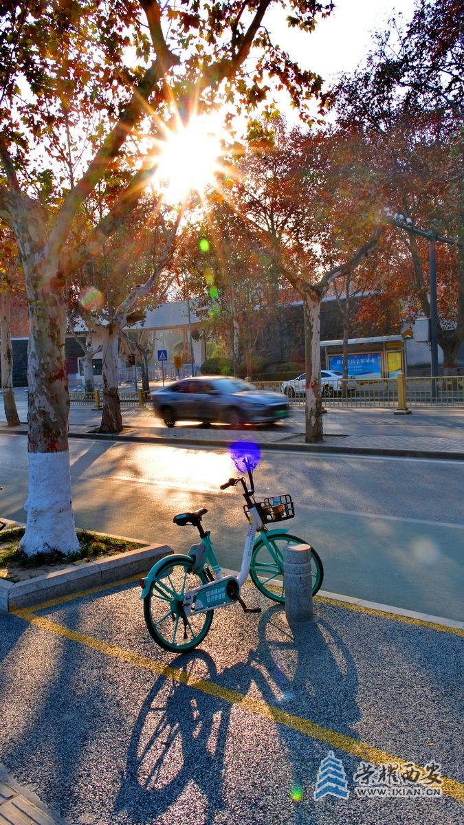 兴庆公园F9.JPG