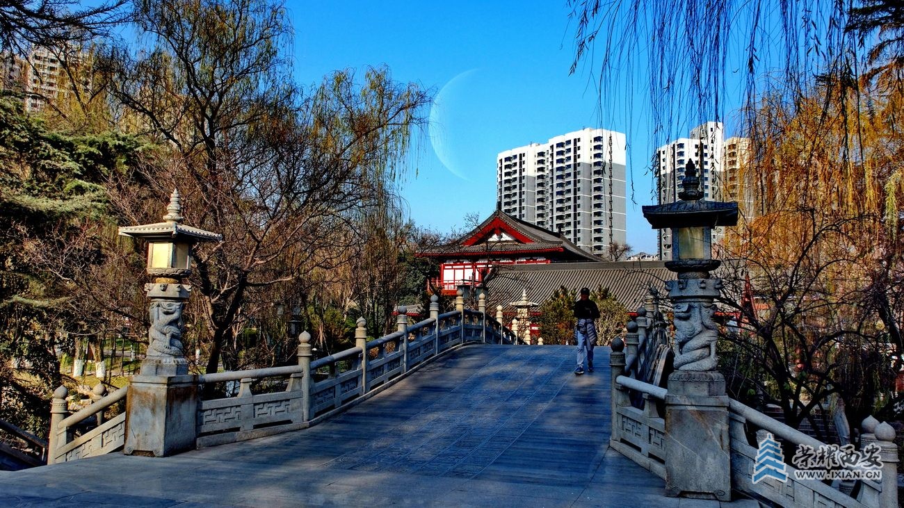 兴庆公园F13.JPG
