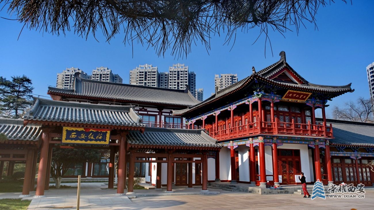 兴庆公园F14.JPG
