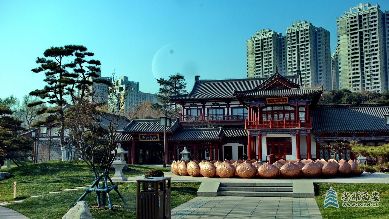 兴庆公园F17.JPG