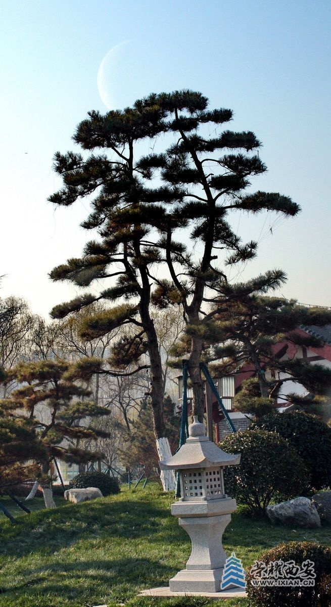兴庆公园F21.JPG