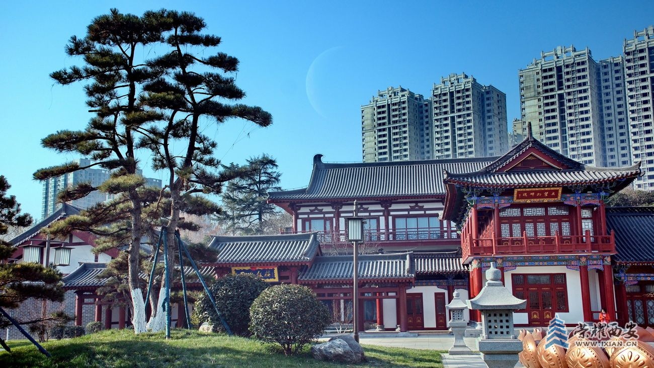 兴庆公园F24.JPG