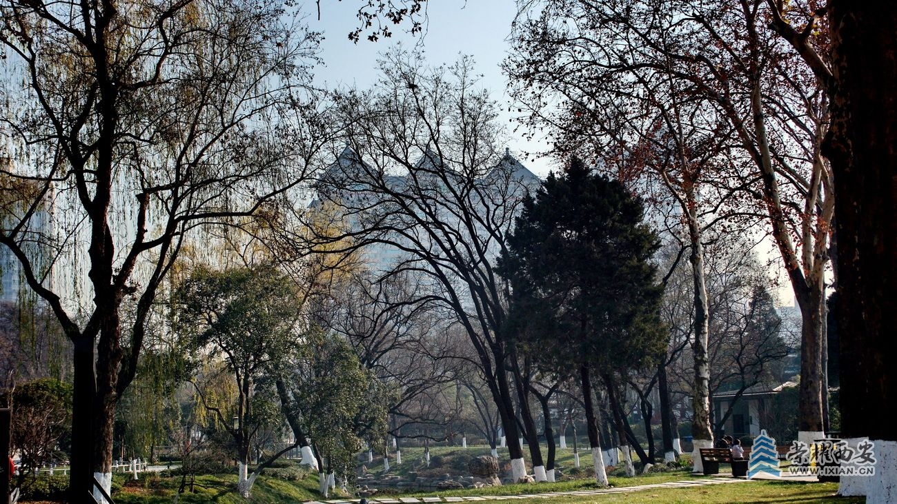 兴庆公园F28.JPG