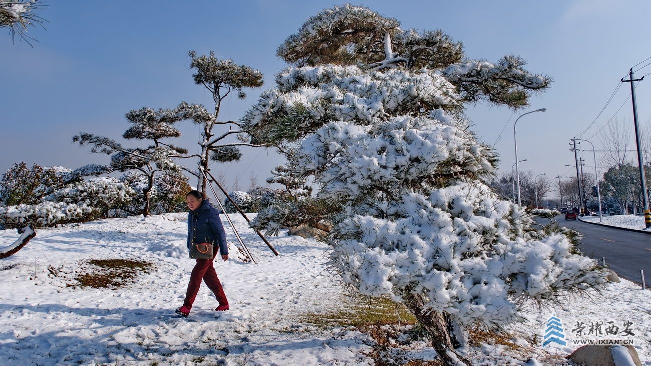 -西安雪景028.JPG