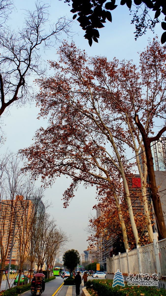 -西安022.JPG