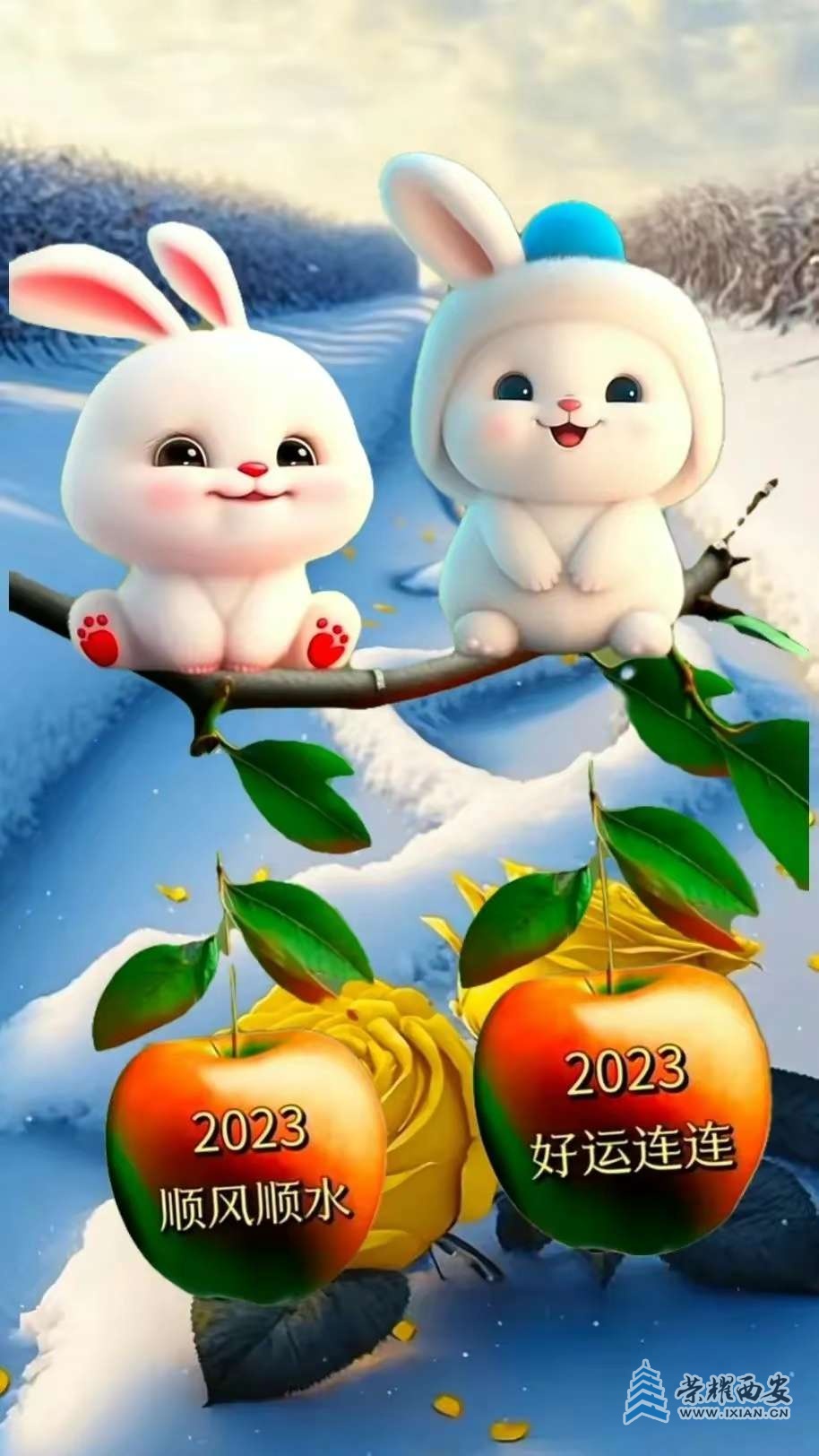 20230108000020front2_0_632260_Fhz0LCeBPYkwY6mNQU69cz8jh49a.jpg