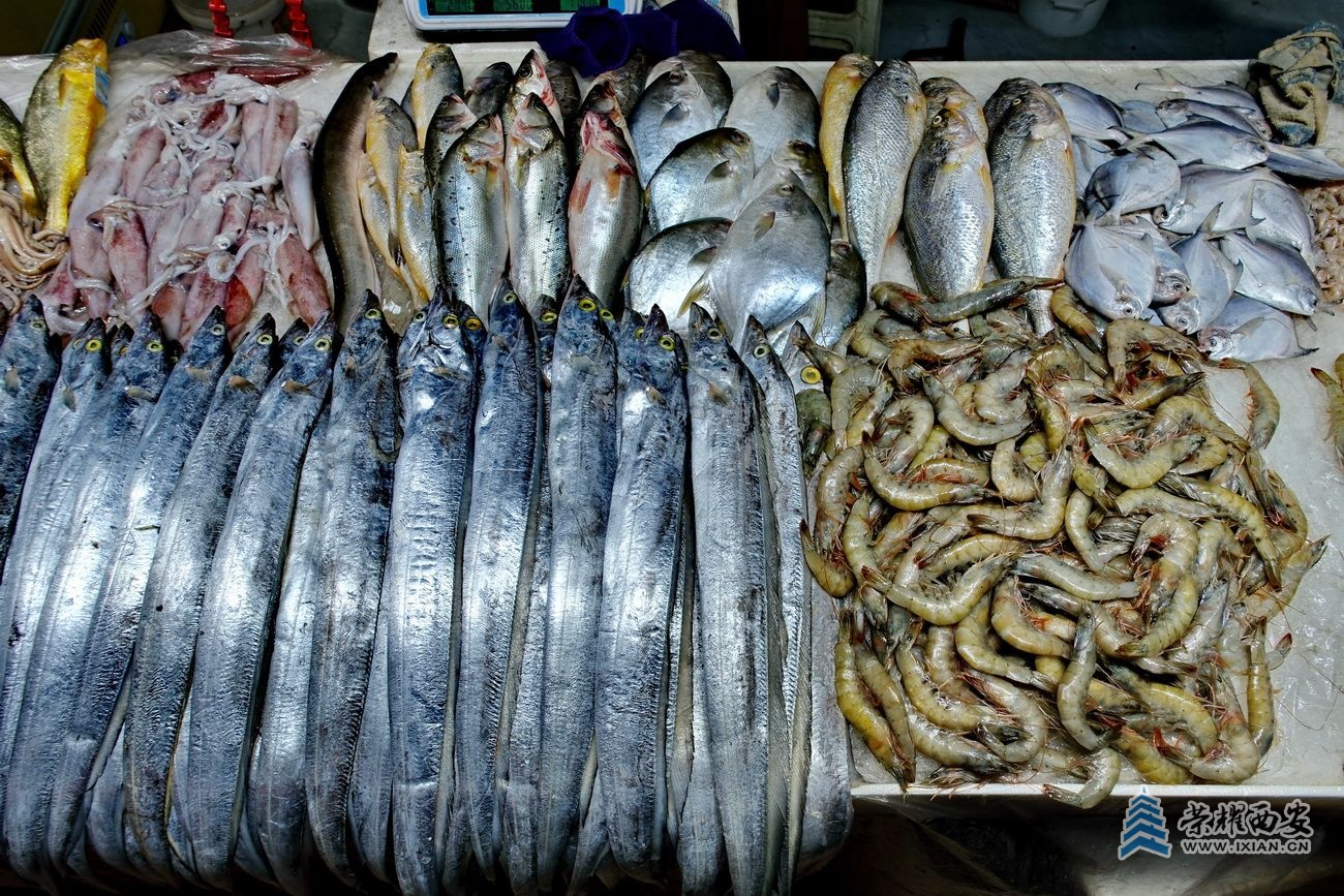 -海鲜市场21.JPG