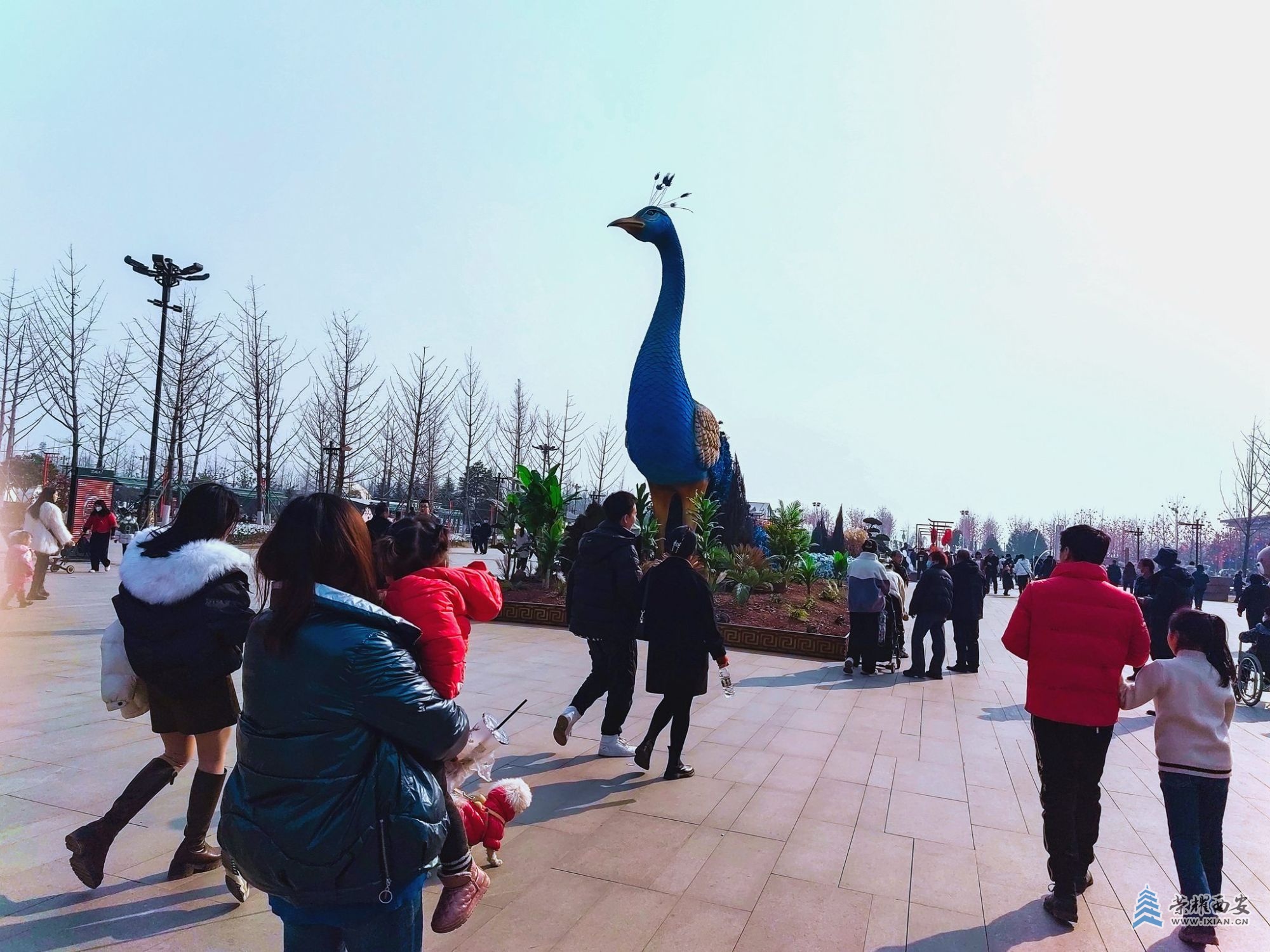 昆明池-008.jpg
