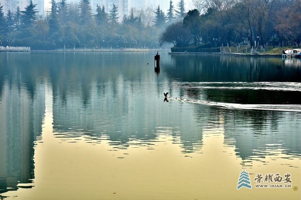 DSC_4683_副本.jpg