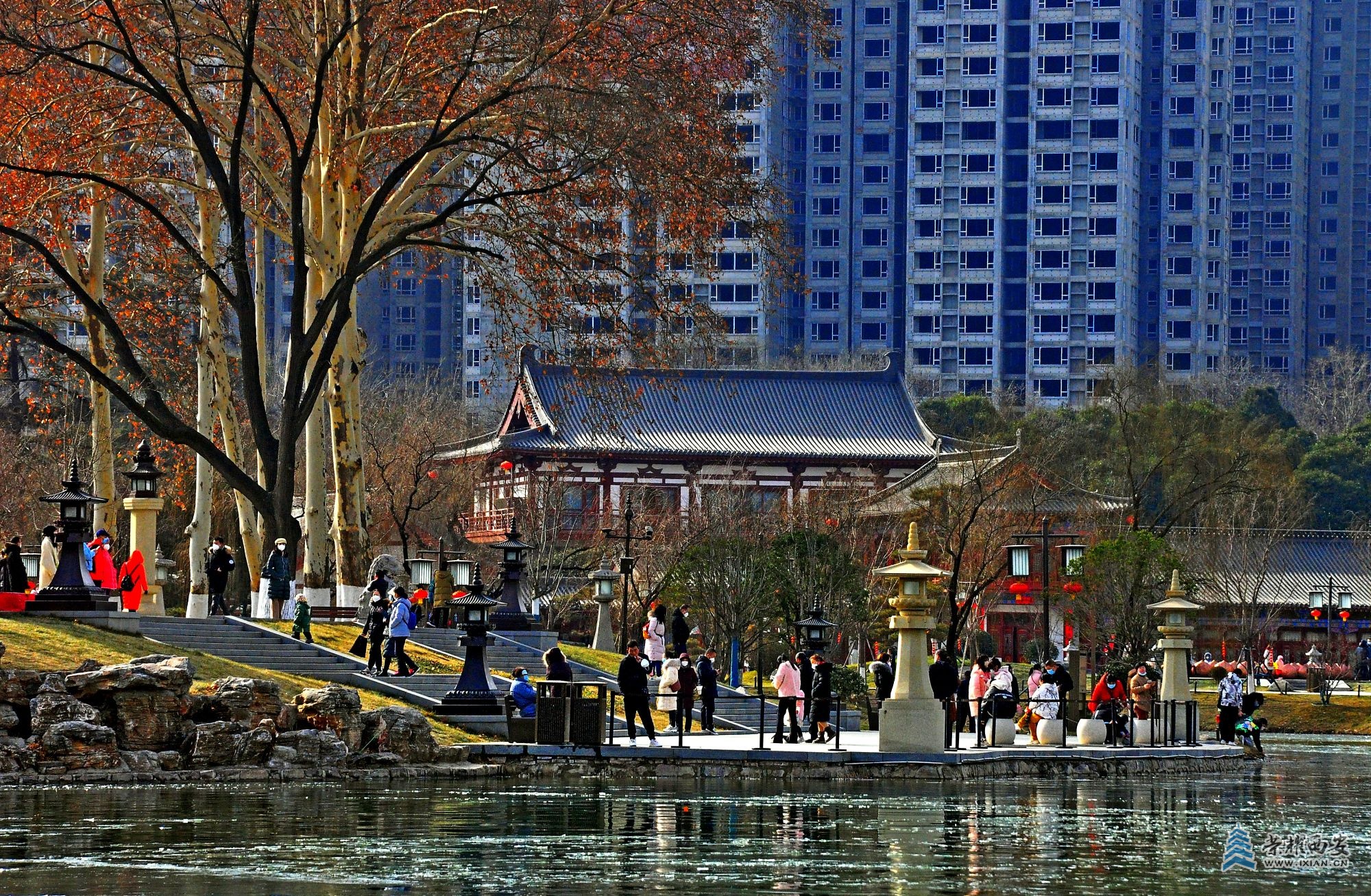 DSC_0556 - 副本.JPG