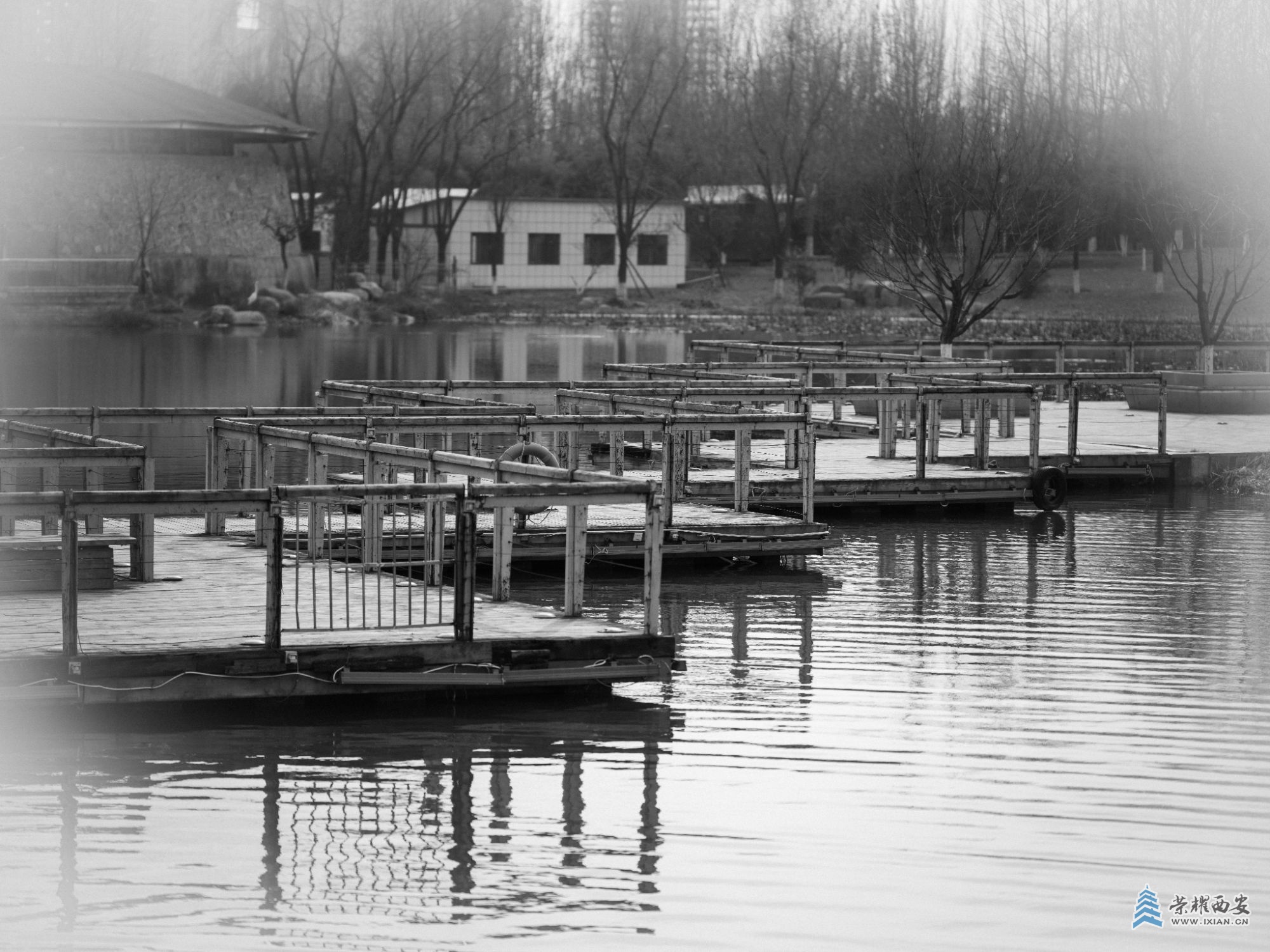 DSCF0646.jpg