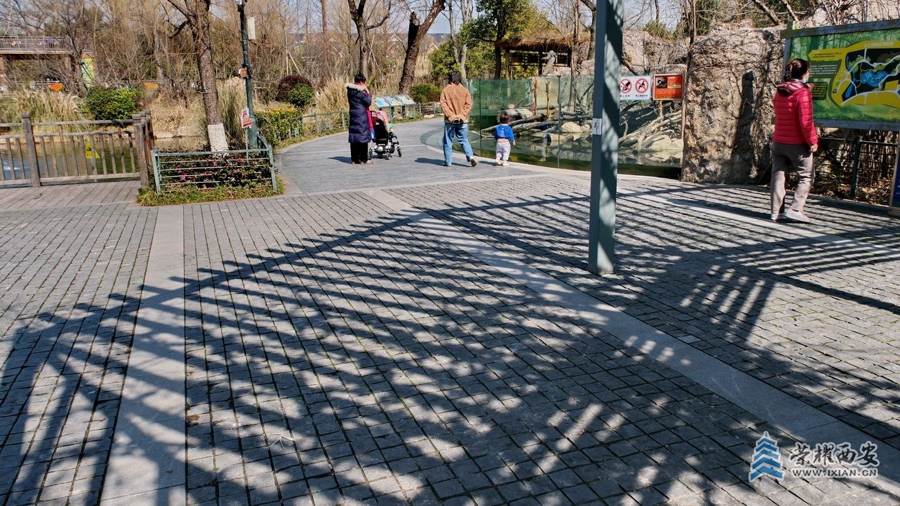 -上海动物园026.JPG