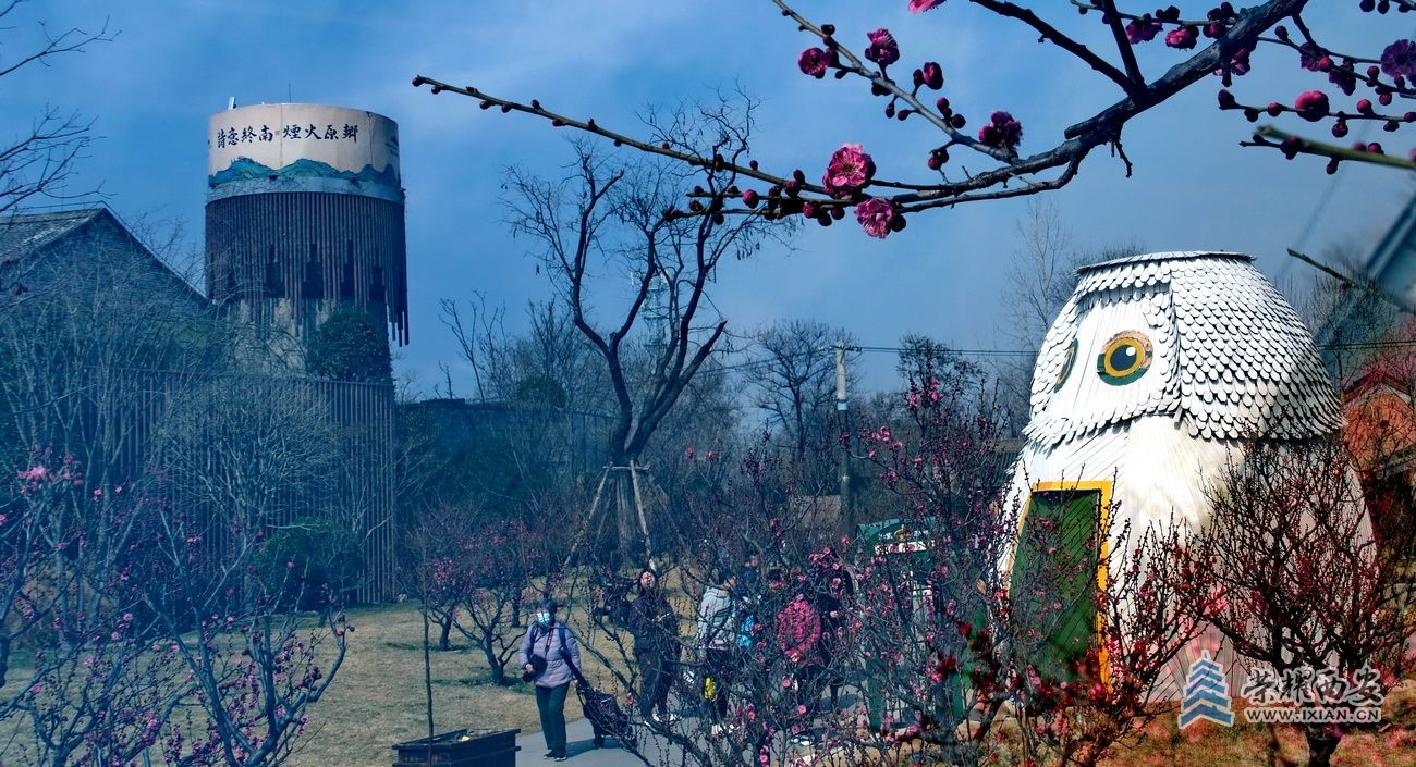 -唐村005.JPG