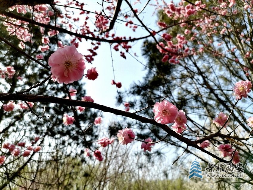 微信图片_20230309192239_副本_副本.jpg