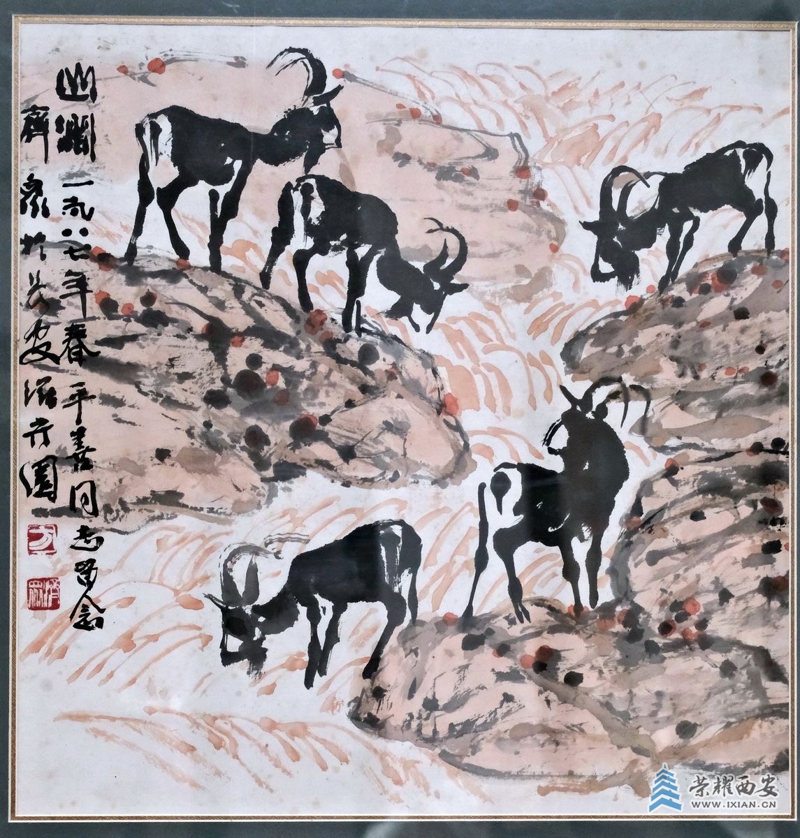 -麻雀39.JPG