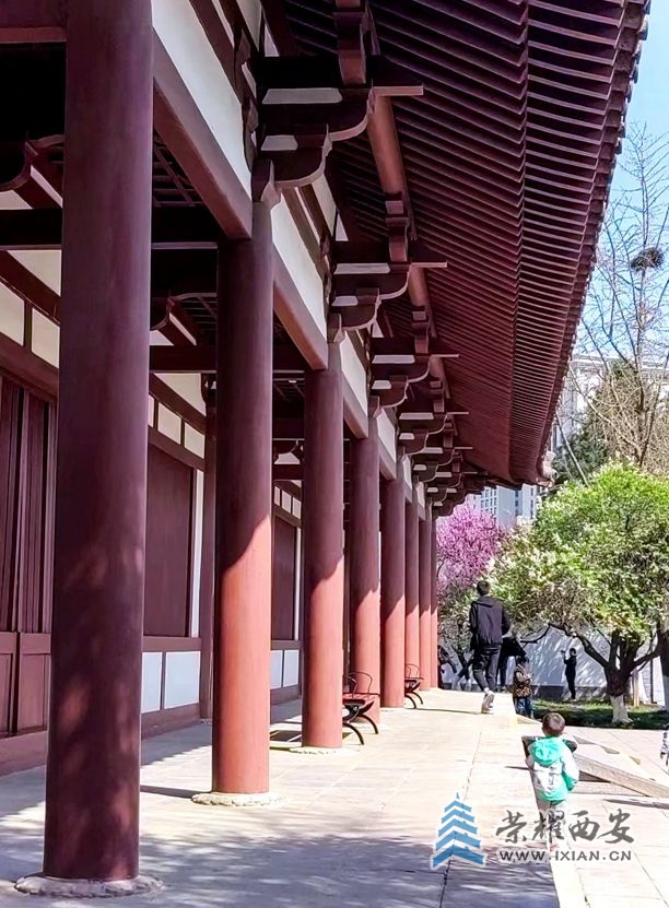 采风-008.jpg