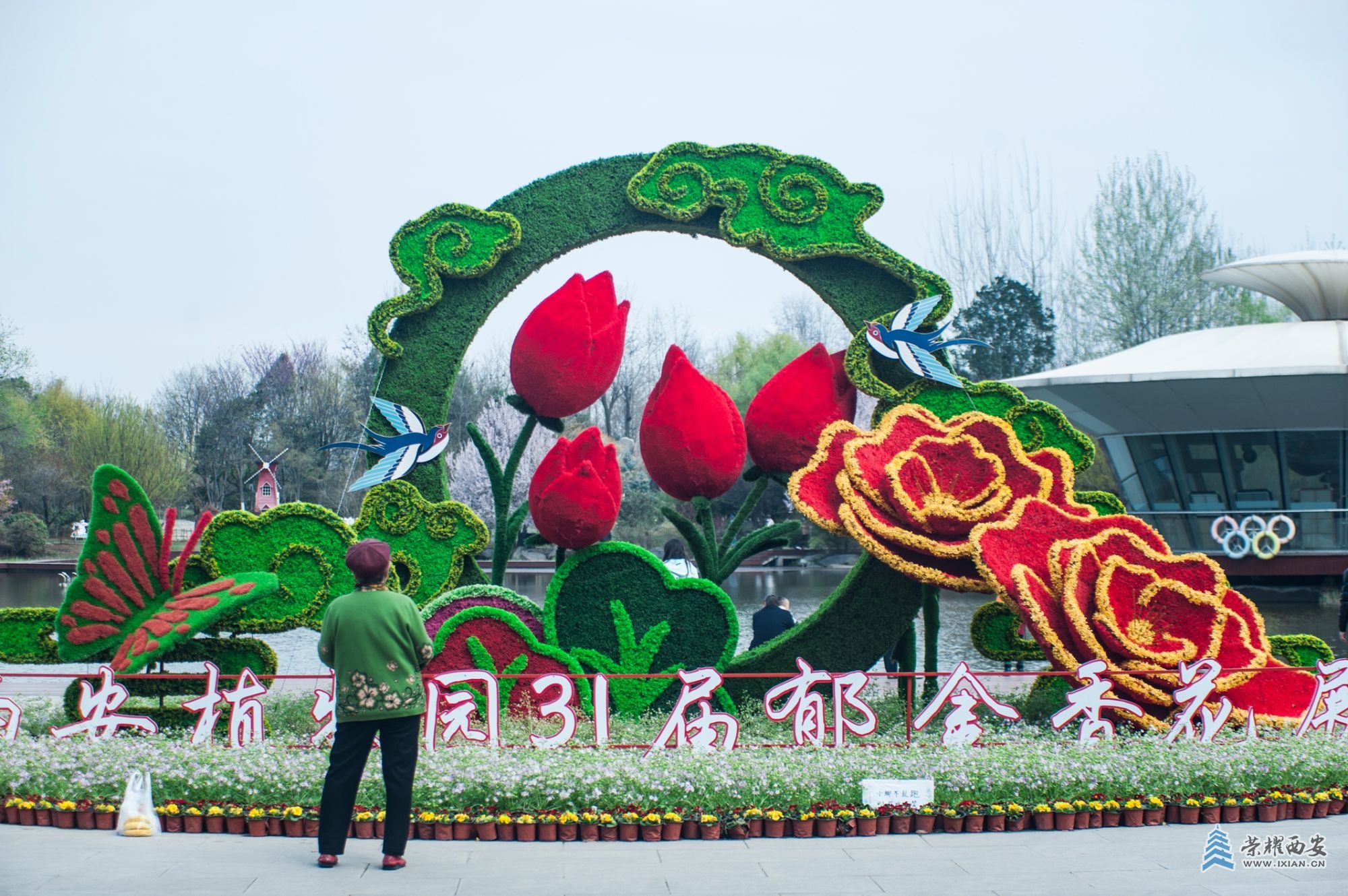 花-002.jpg