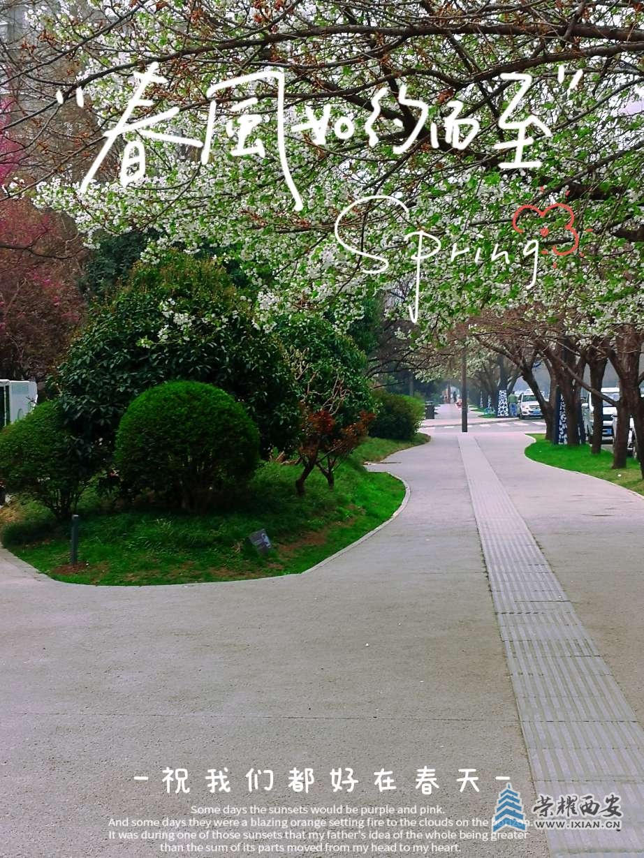 20230319093405front2_0_641246_FuapRlog2TbydHD8I987Cek7MFai.jpg