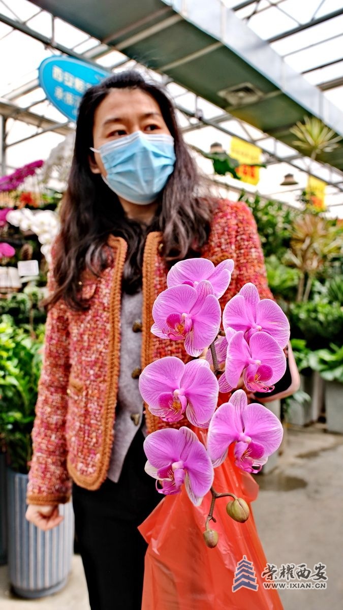 -花卉市场032.JPG