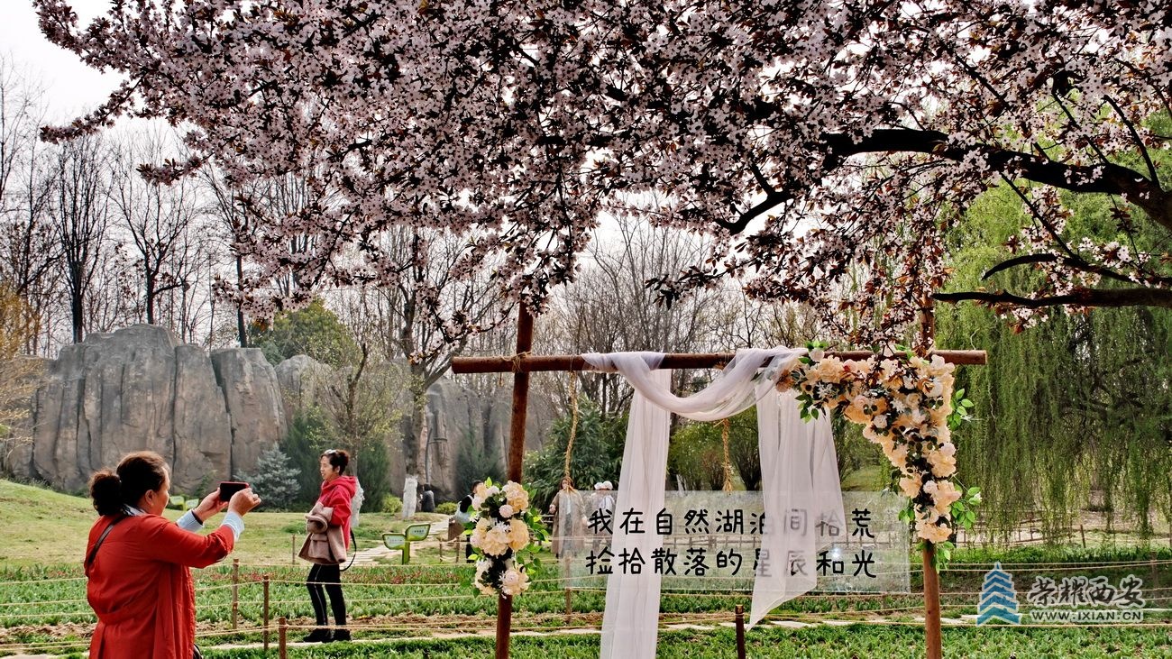 -西安植物园028.JPG