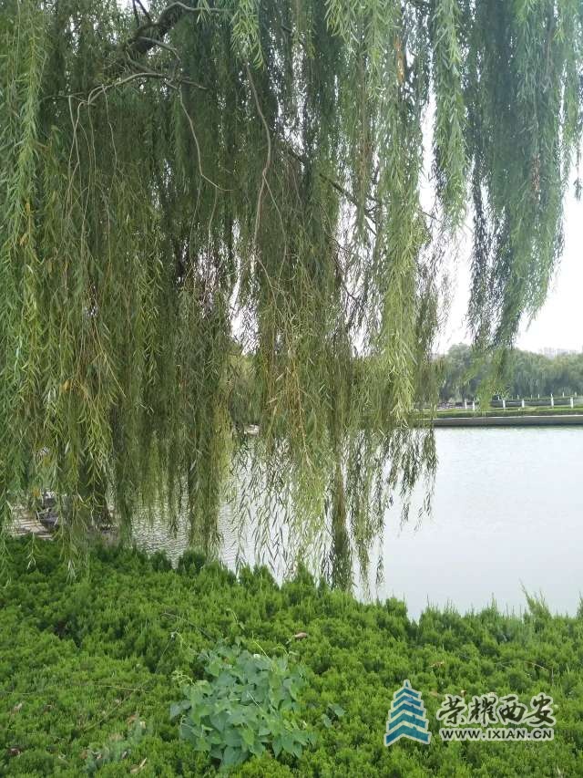 20230329091713front2_0_632260_FiVUkYBmm330oFETQkuGBzpGGeUN.jpg