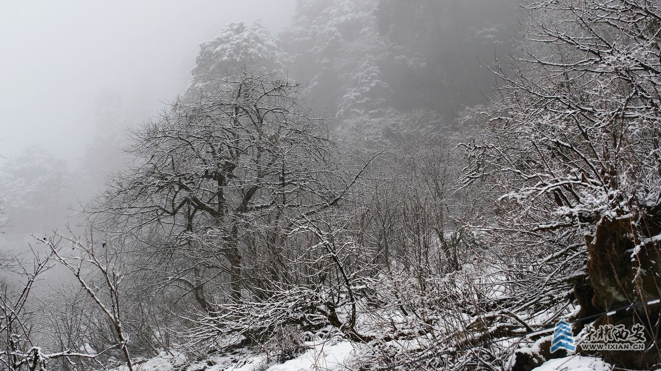 -高黎贡山06.JPG