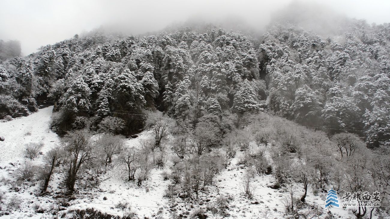 -高黎贡山24.JPG