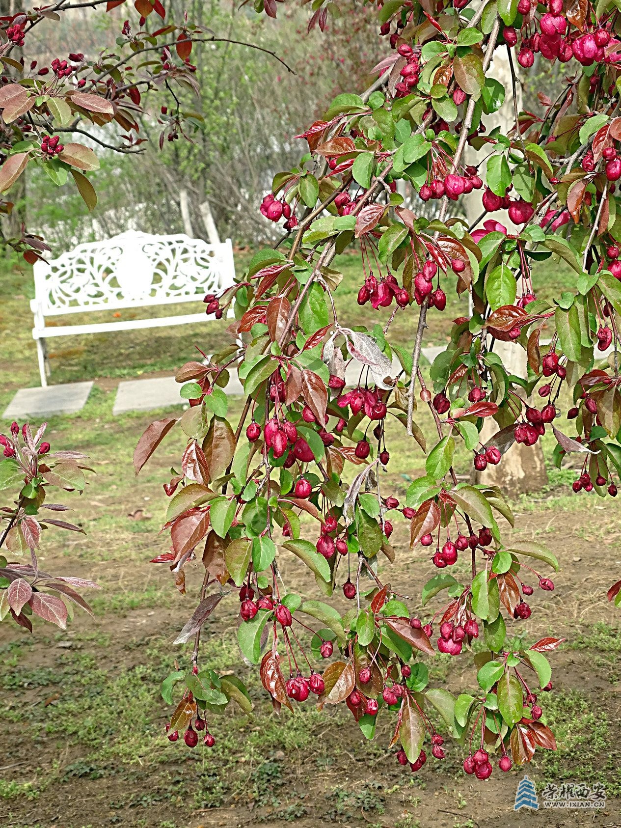 DSC07988.jpg