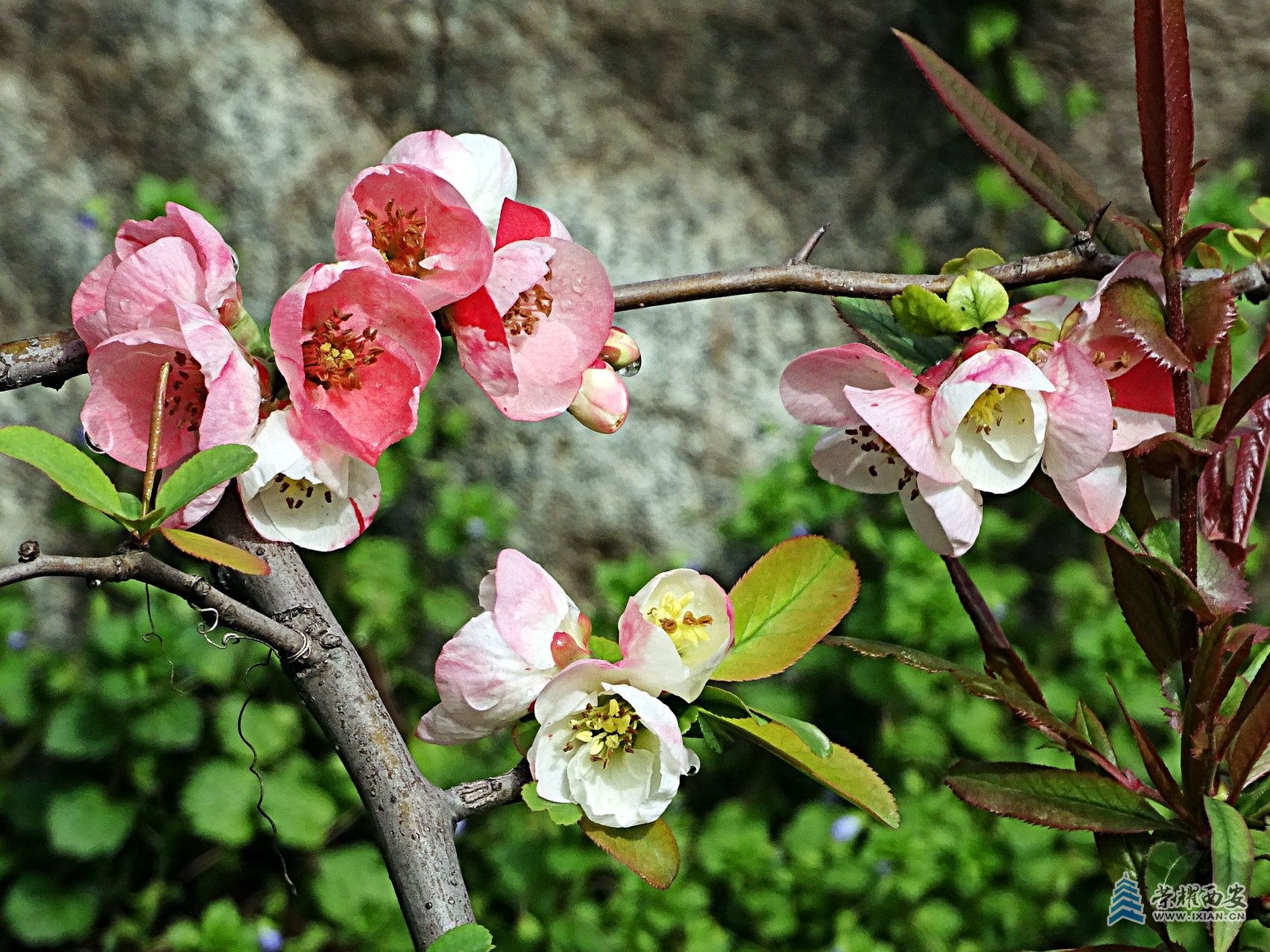DSC08007.jpg