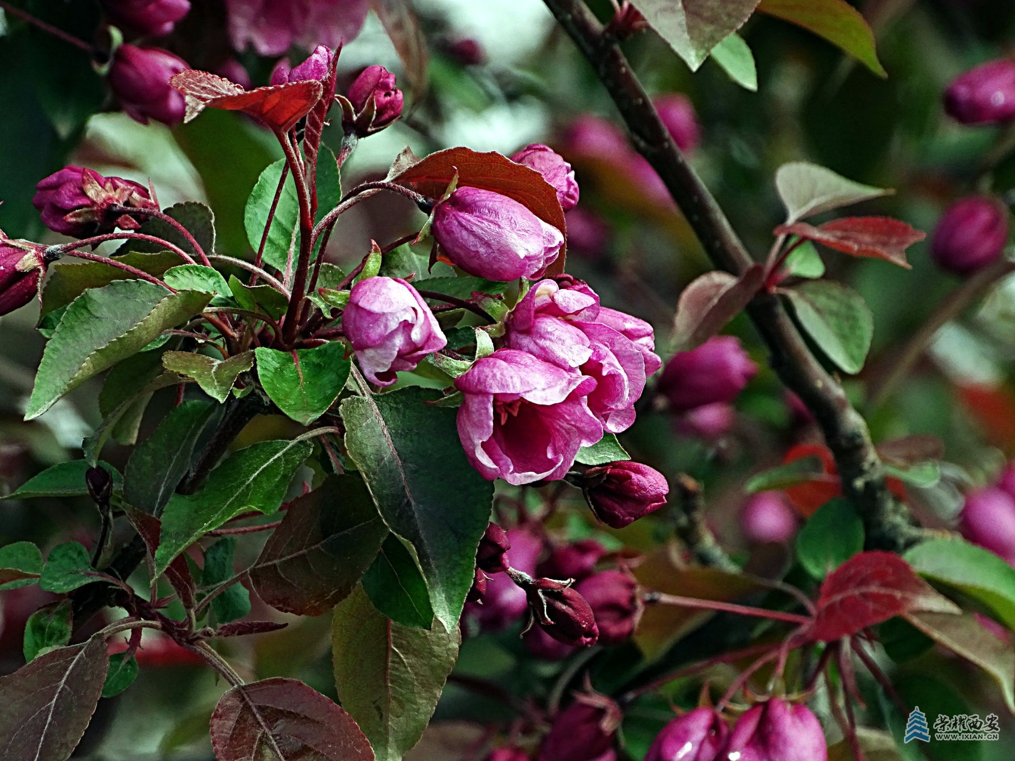 DSC08022.jpg