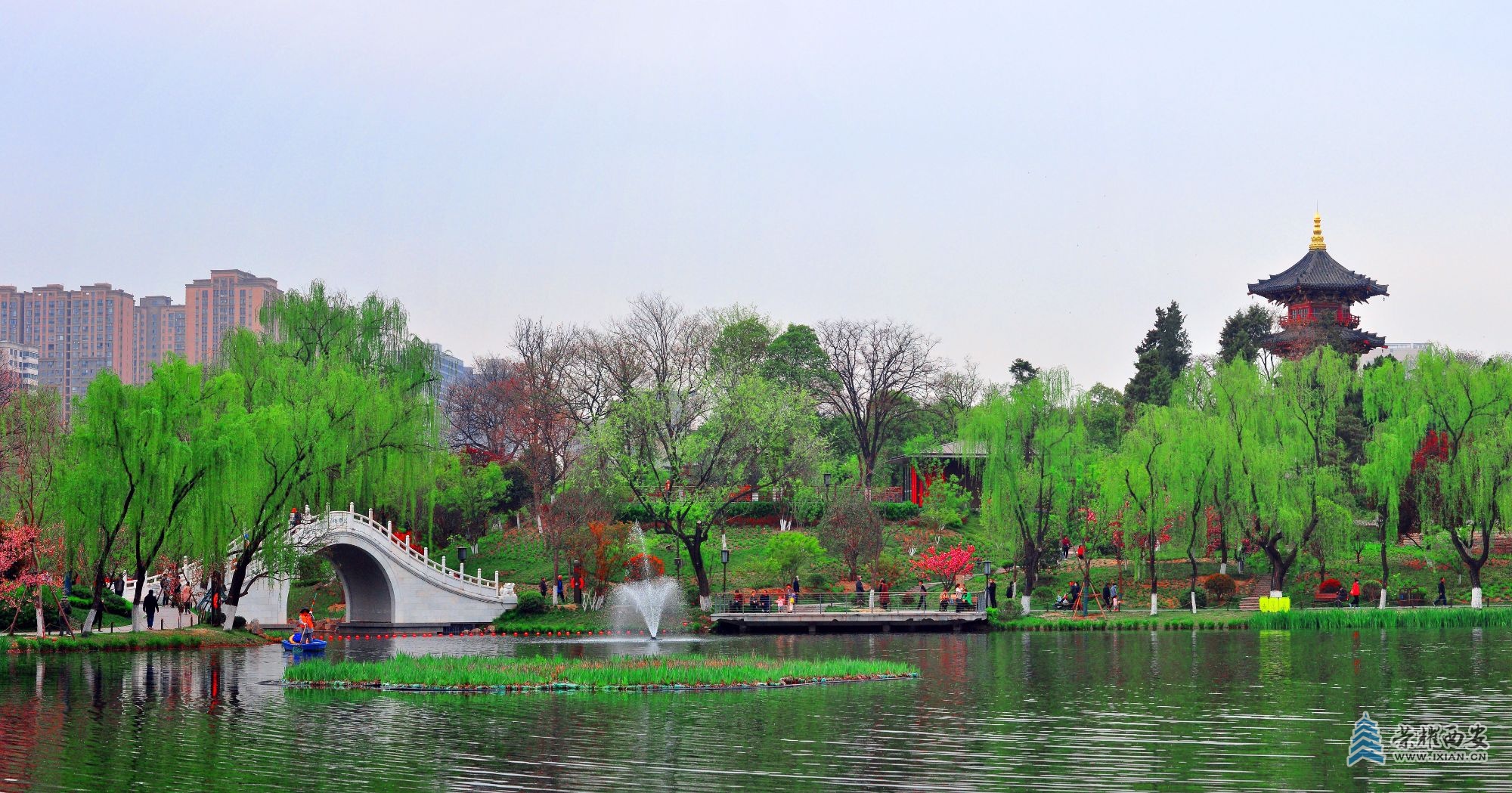 xingqinghu.jpg