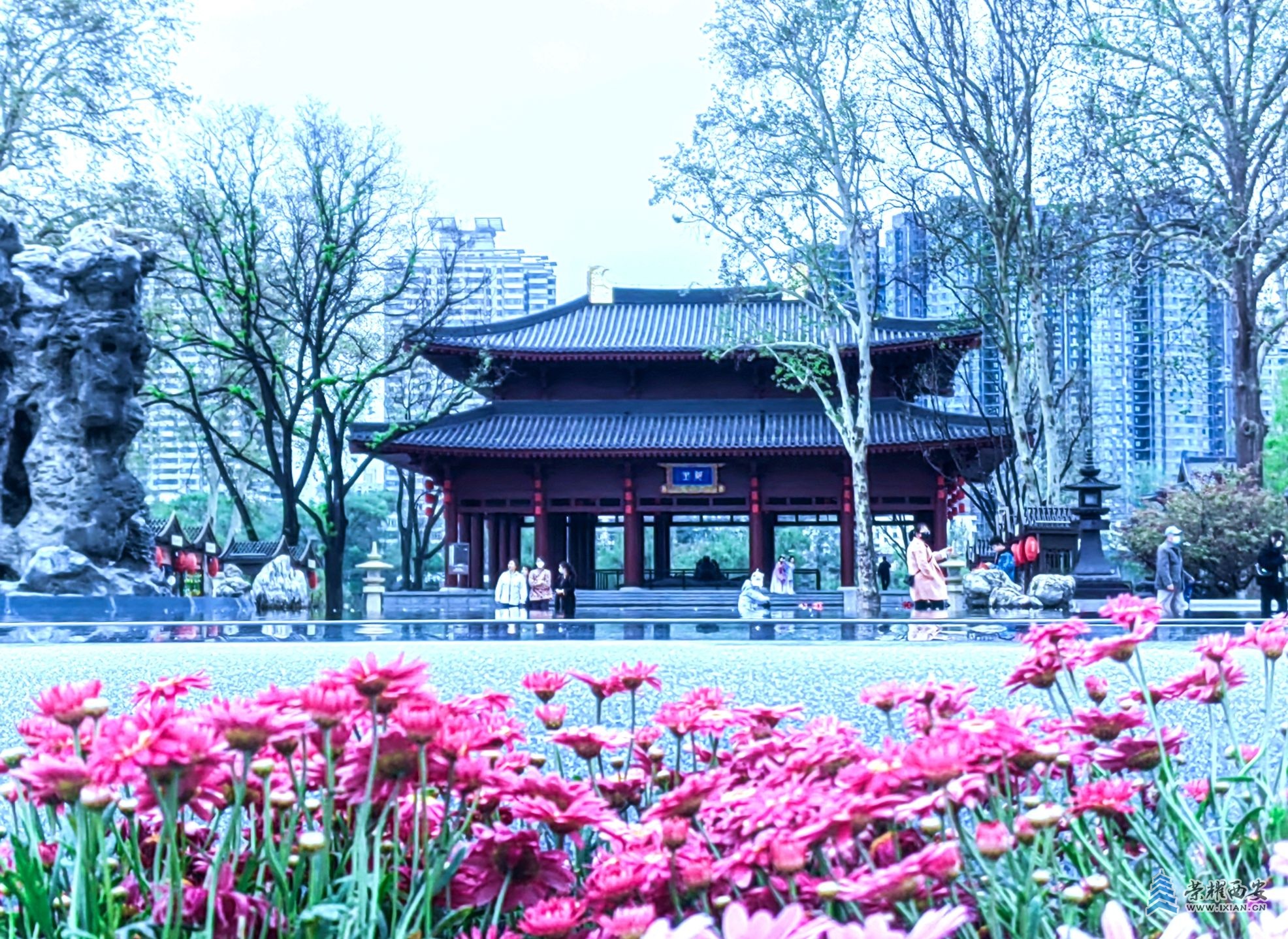兴庆宫-004_副本.jpg