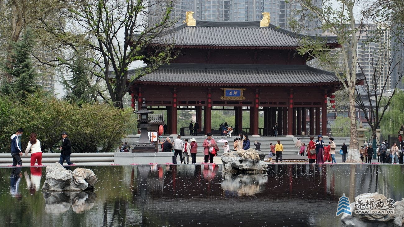 -兴庆公园0031.JPG